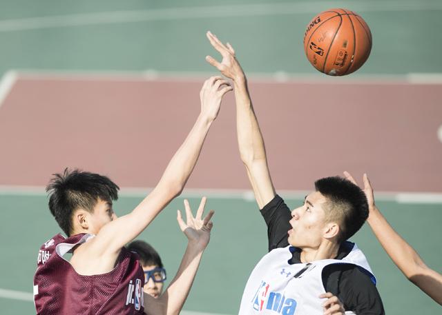 国产福利一区二区在线观看